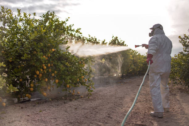 Best Pest Prevention Services  in St George, SC