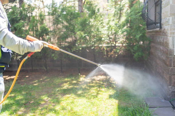 Trusted St George, SC Pest Control Experts