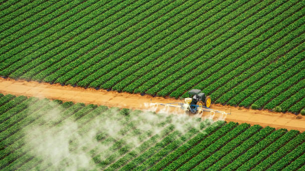 Best Termite Control Services  in St George, SC