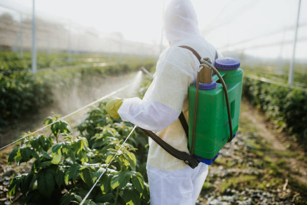 Best Pest Removal Services  in St George, SC